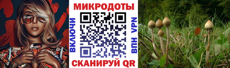 Псилоцибиновые грибы ЛСД  купить наркотик  Мантурово 